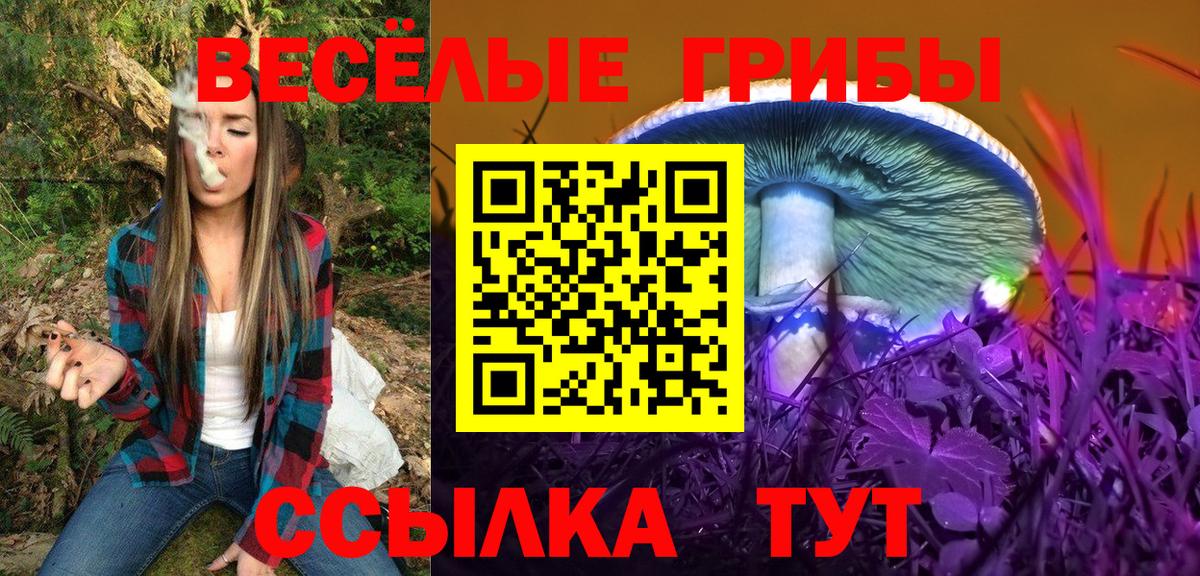 Псилоцибиновые грибы Psilocybine cubensis Карпинск