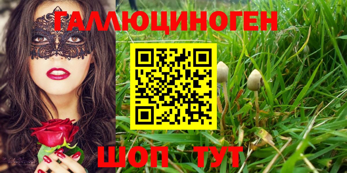 Карпинск  Псилоцибиновые грибы Psilocybine cubensis  Вход с VPN  Псилоцибиновые грибы GOLDEN TEACHER 